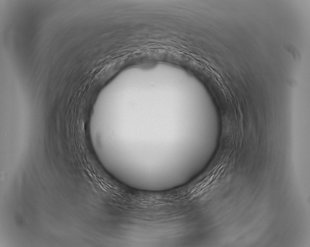 X0000111481489200907141032