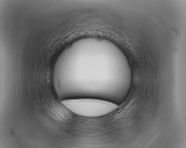 X0000111481490200907141032