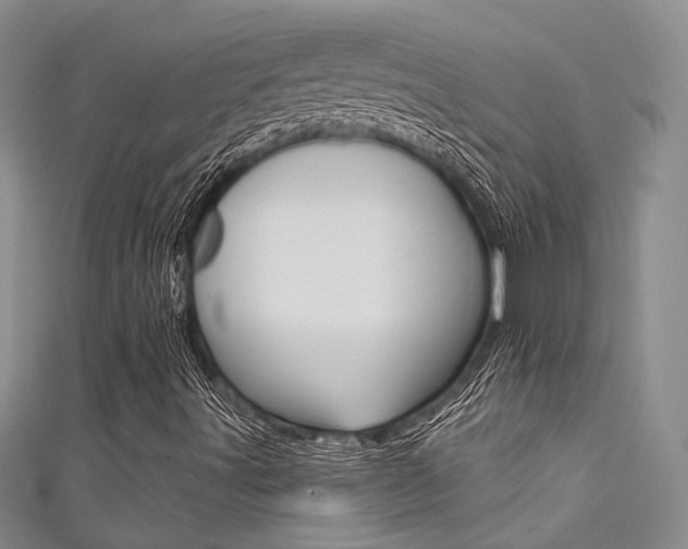 X0000111481491200907141032