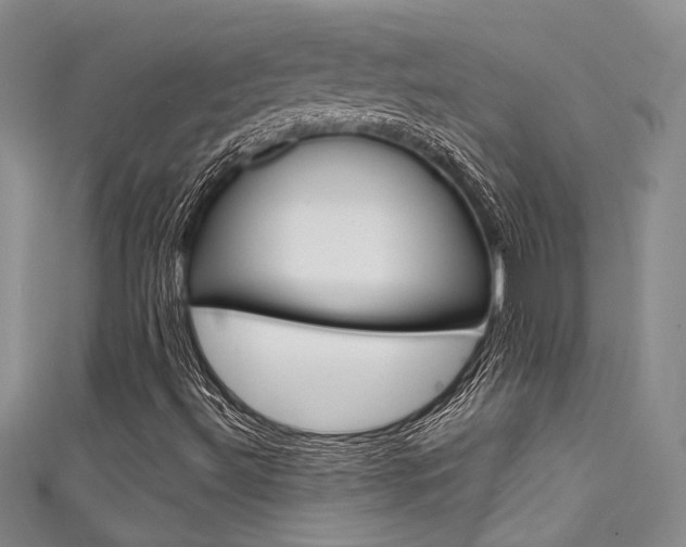 X0000111481492200907141032