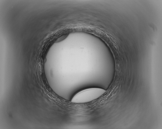 X0000111481493200907141032