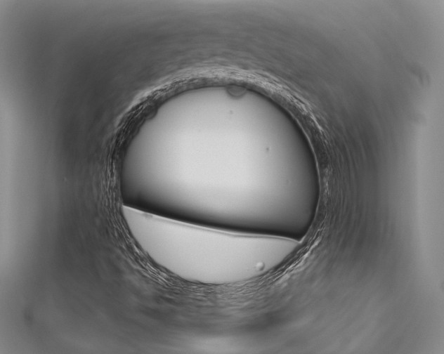 X0000111481494200907141032