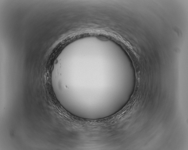 X0000111481495200907141032