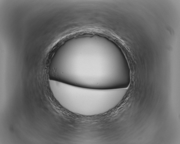 X0000111481496200907141032