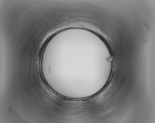 X0000111481498200907141032