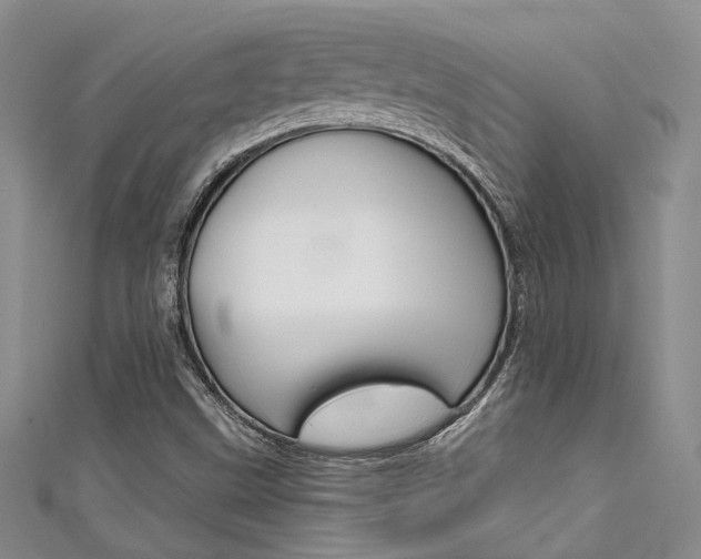 X0000111481499200907141032