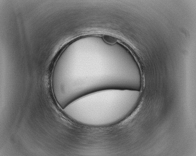 X0000111481501200907141032