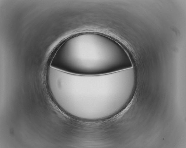 X0000111481502200907141032