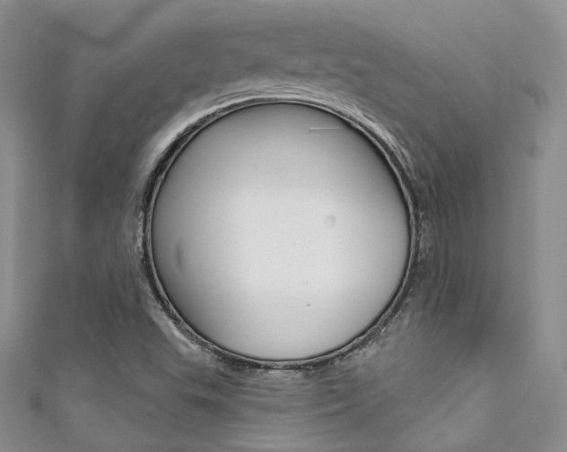 X0000111481503200907141032