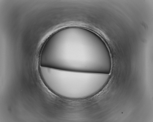 X0000111481504200907141032