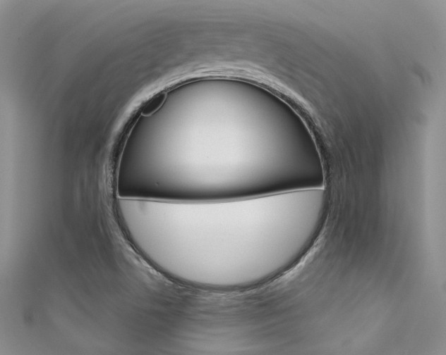 X0000111481506200907141032