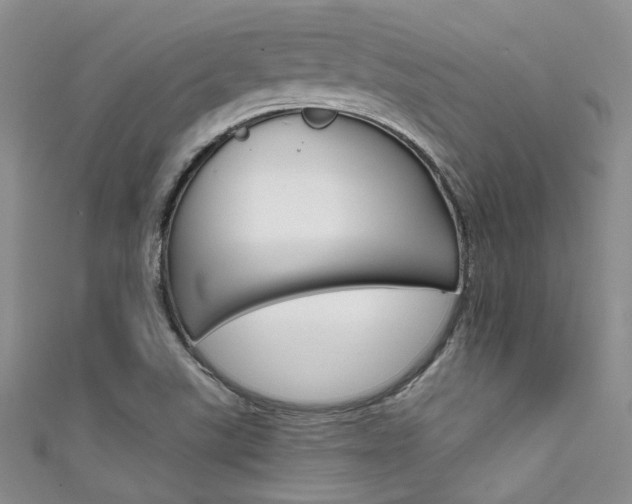 X0000111481507200907141032