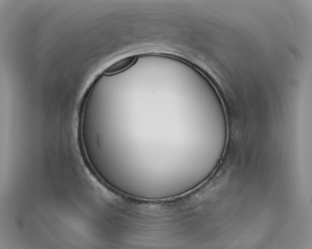 X0000111481508200907141032