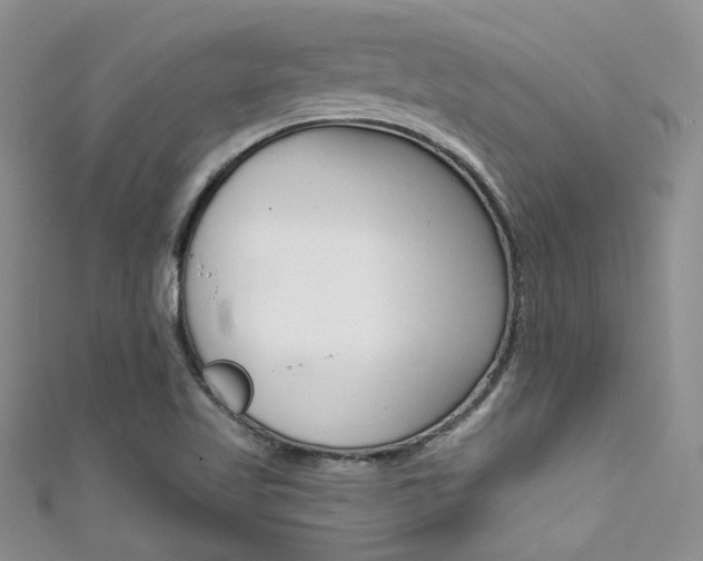 X0000111481509200907141032