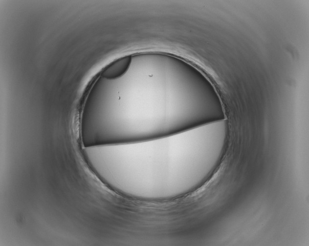X0000111481510200907141032