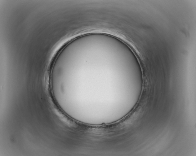 X0000111481511200907141032