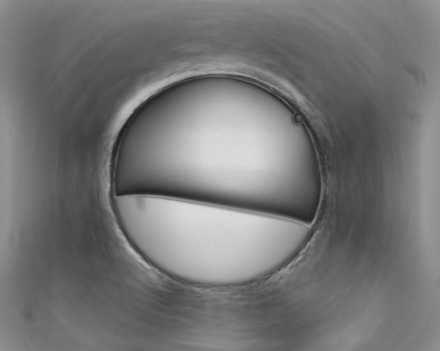 X0000111481512200907141032