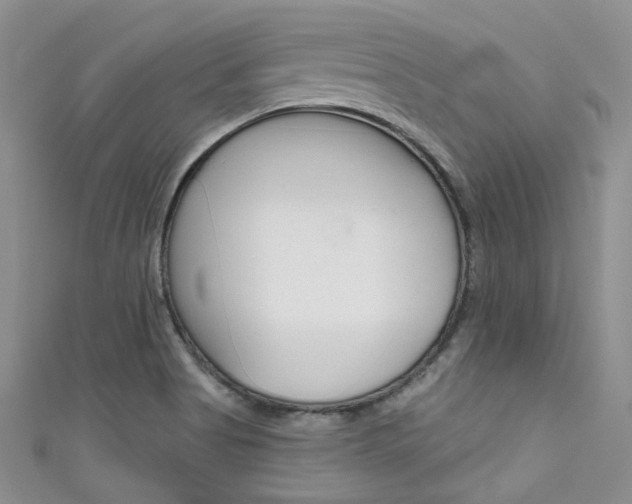 X0000111481513200907141032