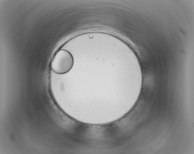 X0000111481514200907141032