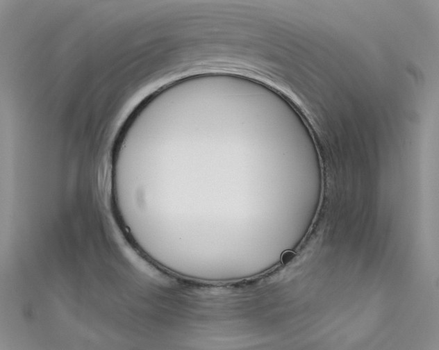 X0000111481515200907141032