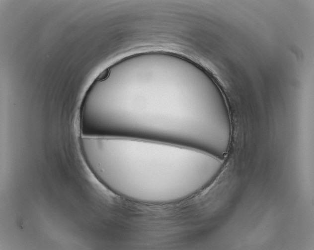 X0000111481516200907141032