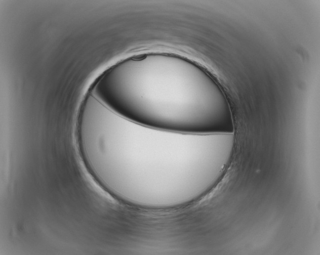 X0000111481518200907141032