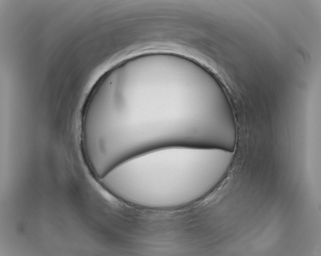 X0000111481519200907141032