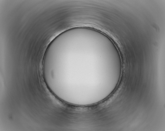 X0000111481521200907141032