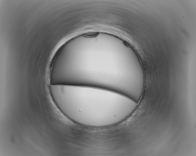 X0000111481522200907141032