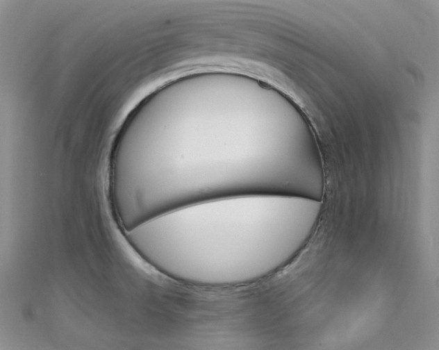 X0000111481523200907141032
