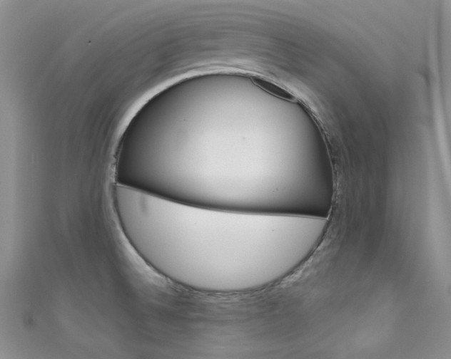 X0000111481524200907141032