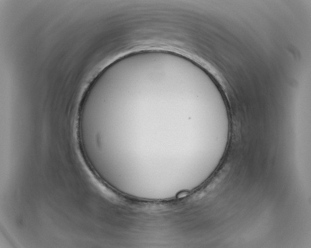 X0000111481525200907141032