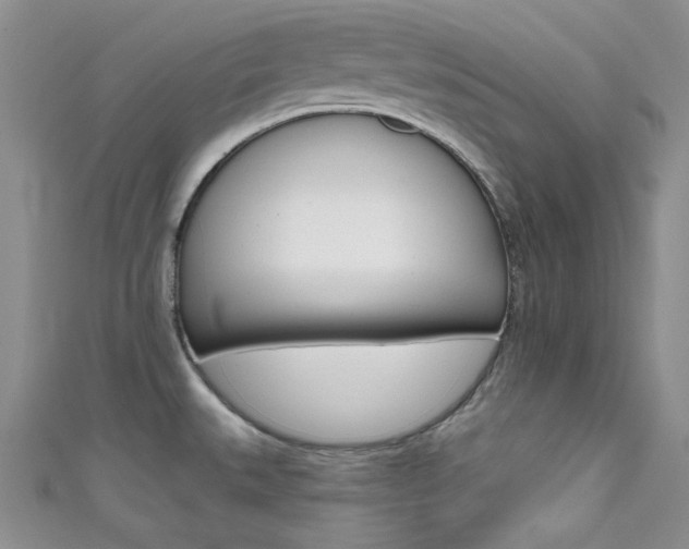 X0000111481527200907141032