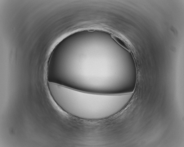 X0000111481528200907141032
