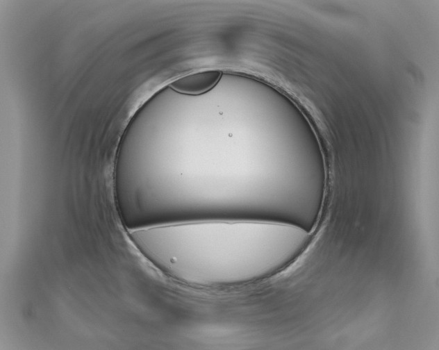 X0000111481529200907141032