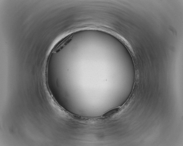 X0000111481530200907141032