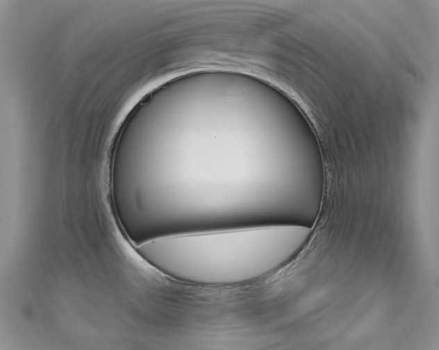 X0000111481531200907141032
