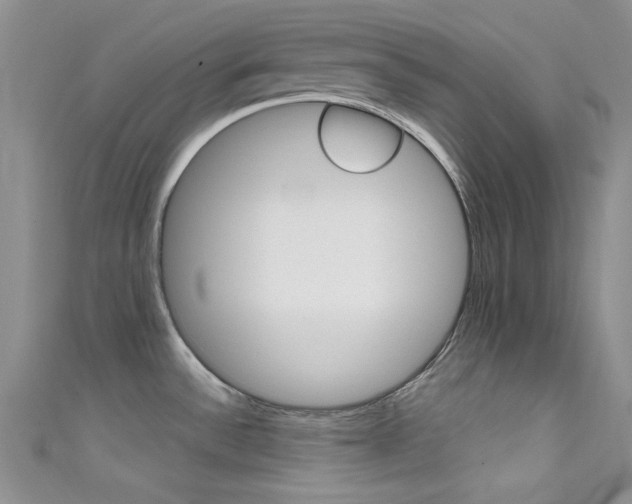 X0000111481532200907141032