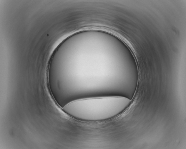X0000111481533200907141032