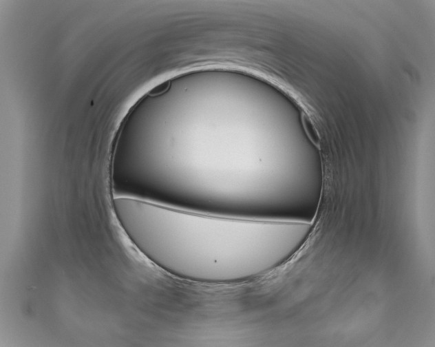 X0000111481534200907141032