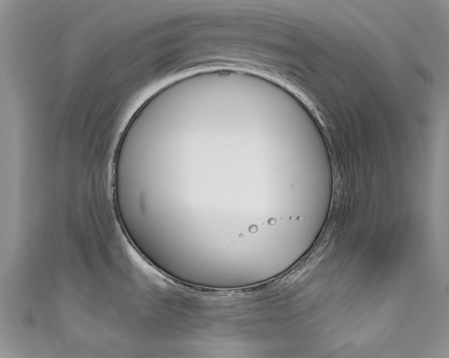 X0000111481535200907141032