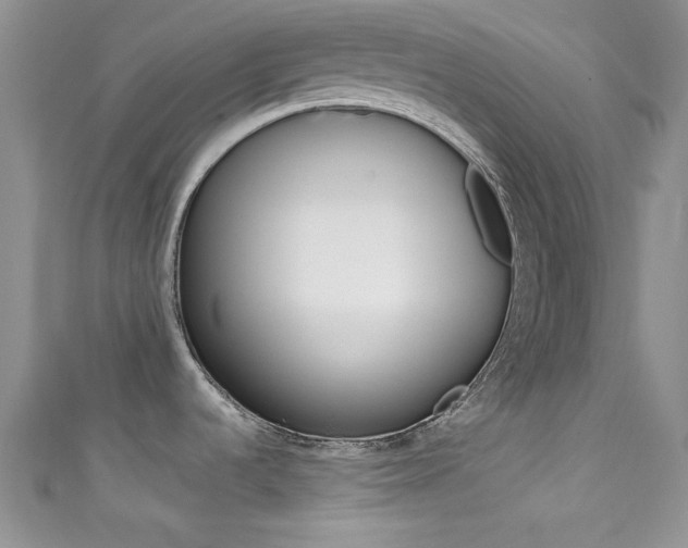 X0000111481536200907141032