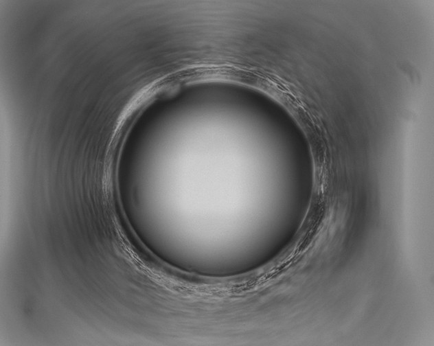 X0000111480004200907141227