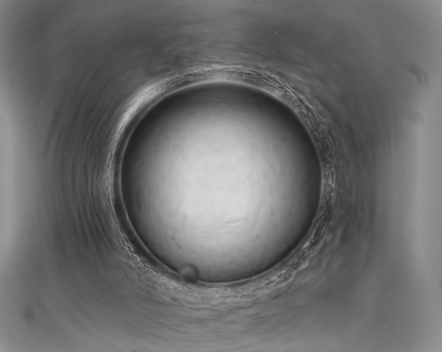 X0000111480006200907141227