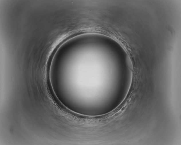 X0000111480008200907141227