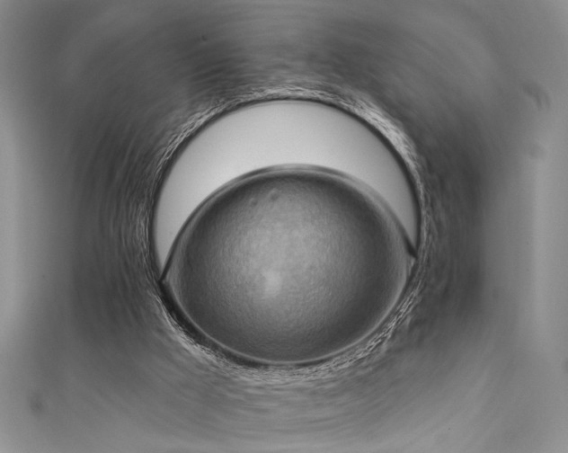 X0000111480009200907141227