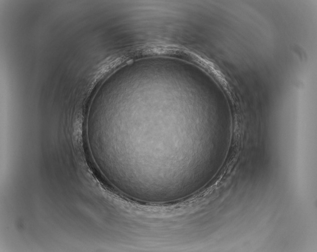 X0000111480010200907141227