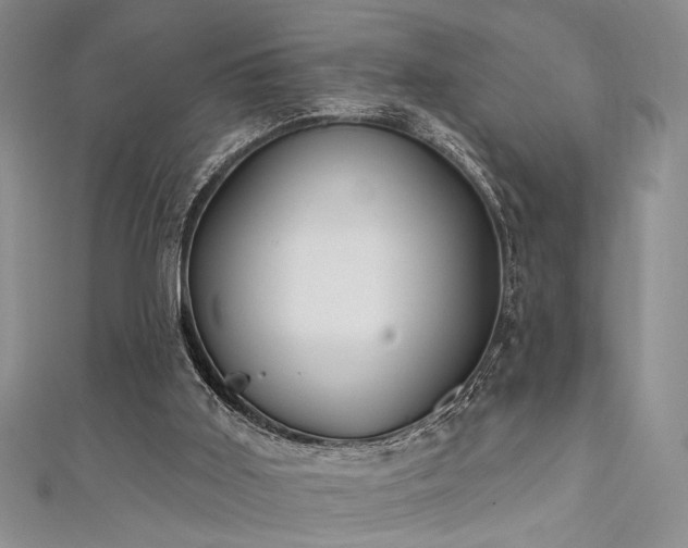 X0000111480011200907141227