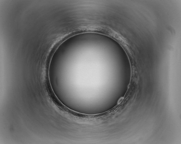 X0000111480012200907141227