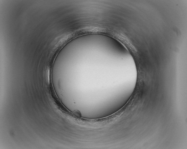 X0000111480014200907141227